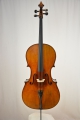 Violoncello 
